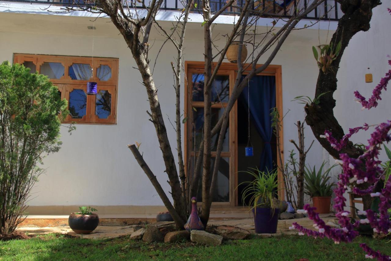 Gaia Guest House San Cristobal de las Casas Exterior photo